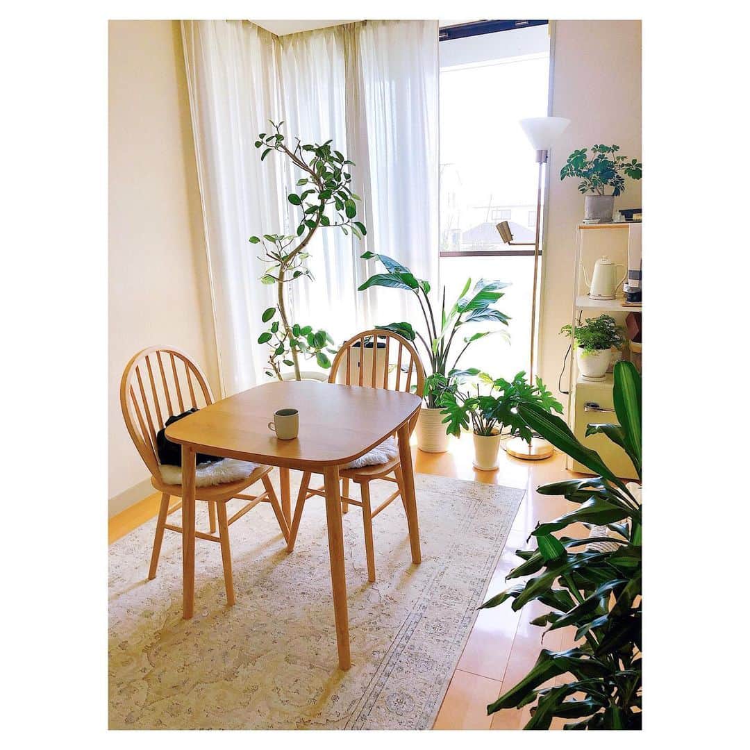 RisaWisteriaのインスタグラム：「Mini living🌿  一回のリビングまで降りるのが面倒だから朝はここのミニバーで済ませることが多いよ✨  家具は前の家がファーニッシュドでワンルームだったから、一から揃えなきゃだった家具家電は全部格安✌️  でもそれなりに気に入ってます💕  あ、変な生き物も住んでいます🐕😂  #room#tinyroom#greens#interior#interiordecor」