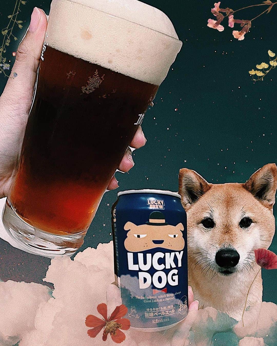 井上志帆子さんのインスタグラム写真 - (井上志帆子Instagram)「. 程よい苦味#黄桜ビール #黄桜luckydog #luckydog#luckydogbeer #麦酒#ビール#beer」3月21日 3時02分 - shiriko0316