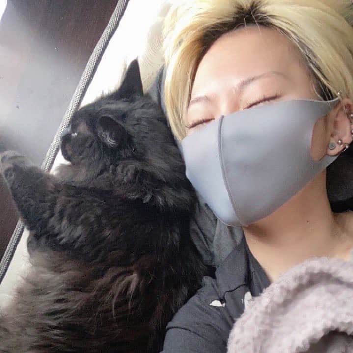 雫さんのインスタグラム写真 - (雫Instagram)「いつどこで寝てても来る怪獣」3月21日 10時14分 - plkshizuku