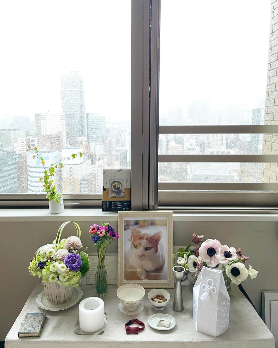 猫沢エミさんのインスタグラム写真 - (猫沢エミInstagram)「3月21日（日）雨。  ナイスカップル 整体師のミノルくん @flexibody.jp と、私の英語の先生ホアン @borderlessjp から、素敵な花束が届いた。 プチタプチ @petit_arai さんのアレンジメント、さすがのお洒落さ。すごく好み。  レッスンが終わってさっそくイオちゃんの祭壇に飾らせていただいた。  なんて可愛いんだろう💕  この気持ちって、小学生の娘のいるお母さんが、お嬢さんの勉強机まわりを可愛くアレンジして嬉しいみたいな気持ちなのかな？なんて思った。  病気になると、いろんなものが汚れたり殺伐とするのがリアルではある。現実は、お洒落なんて言葉とは真反対の介護現場なんだけど、今回の見送りを通して、私はイオちゃんを出来うる限り、清潔でお洒落な環境に置くことを大切にした。  それはおのずと気持ちの良い空間や雰囲気を生み出して、結果、イオの進行する病状の過酷さを具体的に和らげたと感じている。  正しい意味でのお洒落って、どんなときも大事なんだなぁと思った。死の間際ですらも。お洒落なままイオは天国へ旅立ち、残されたお骨もお洒落なお花に囲まれている。  こうゆうのって、すごくいいなと思う。  #猫沢イオ #イオの扁平上皮ガン日記  #ミノルくんホアンあらいさんありがとう💐 #死とお洒落を哲学す　#哀しい雰囲気を排除する大切さ」3月21日 16時05分 - necozawaemi