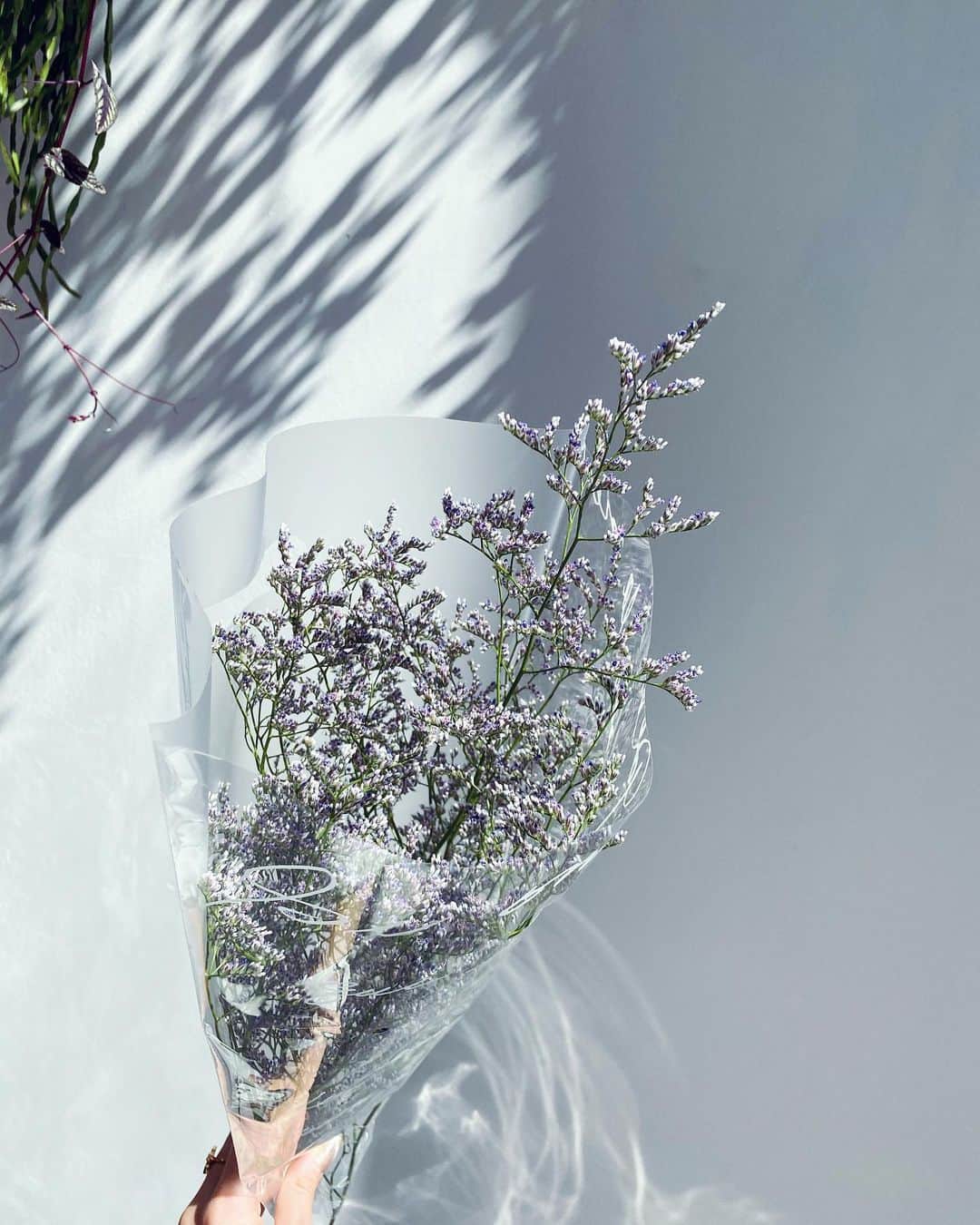 雨宮みずきさんのインスタグラム写真 - (雨宮みずきInstagram)「．  lavender 💜💜💜 ． thank you Marina😘 @new_fukumari  ． #lavender #ラベンダー」3月21日 11時05分 - ammymzk0926