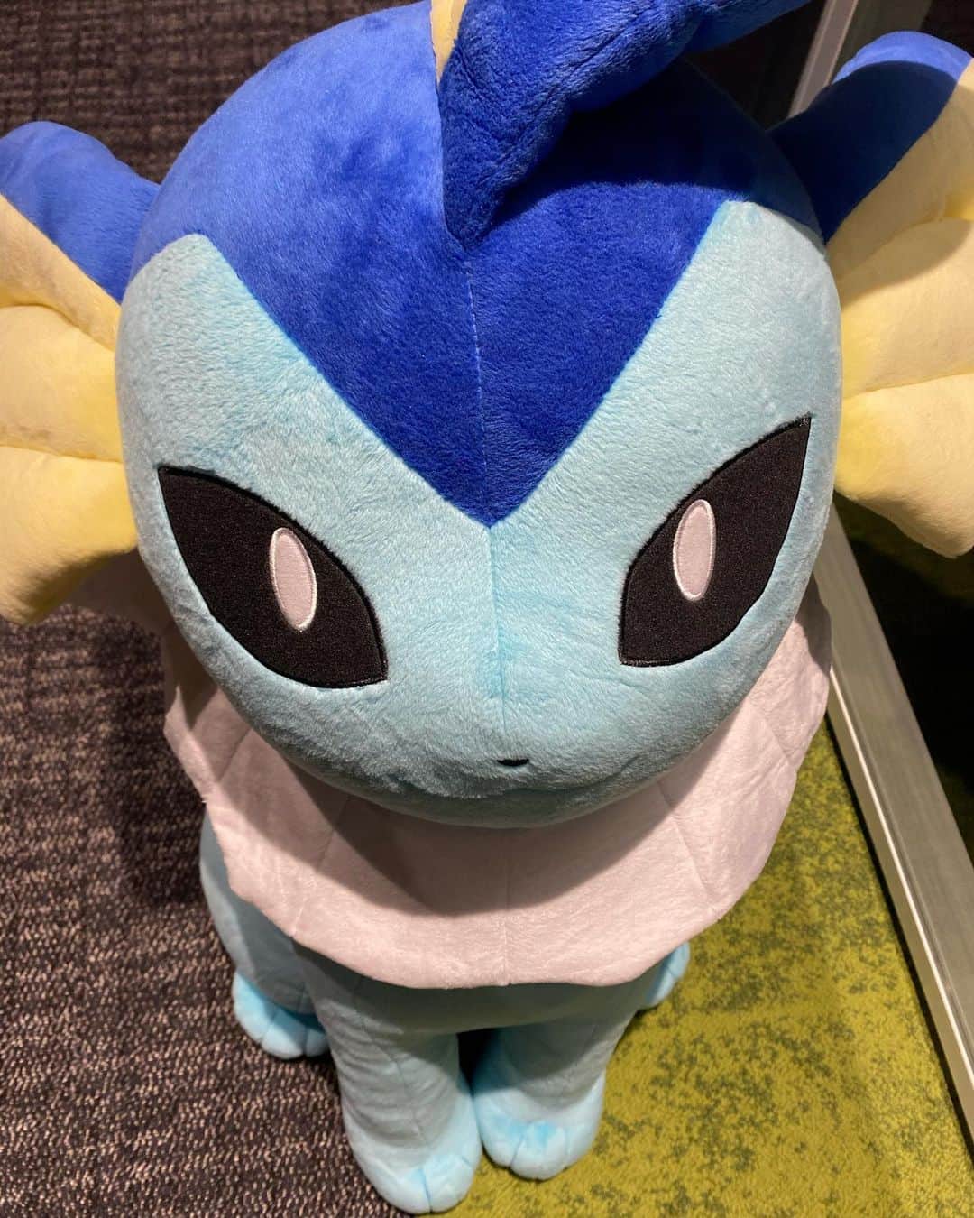 のインスタグラム：「朝から撮影してます〜！  再び出会ってしまった☺️❤️  #ポケモン #シャワーズ #イーブイ」