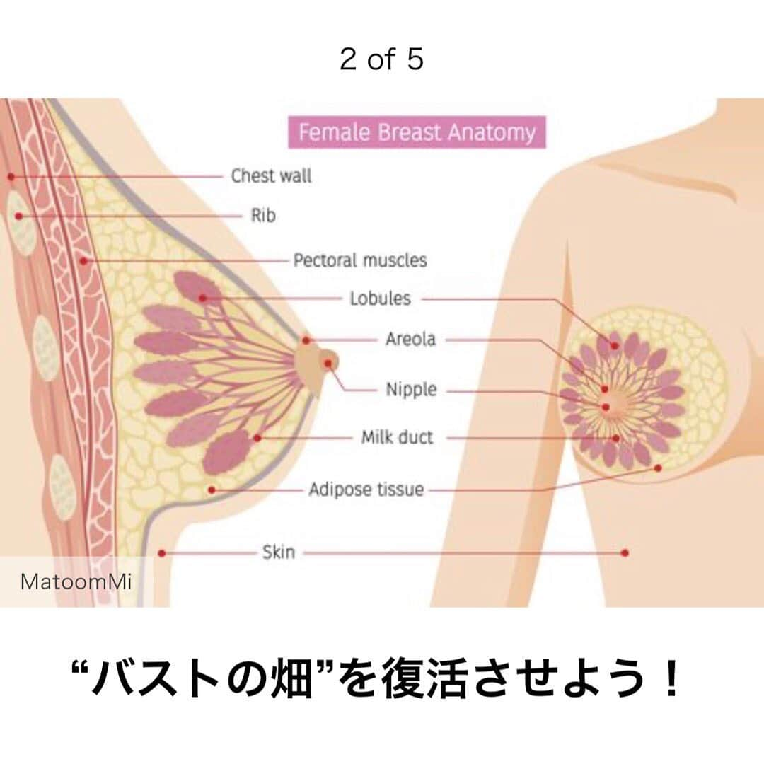 朝井麗華さんのインスタグラム写真 - (朝井麗華Instagram)「【おっぱい番長の読むバストケアー連載　第2回目】 『美バストの道を切り開くコツは〝脇の下〟にあり！？  ウィメンズヘルスさんで毎月20日に新記事が公開される朝井麗華の記事！  今回のテーマは、 〝バスト復活させるには、バスト畑を制すべし！！〟 です。  やみくもに、おっぱいの表面をなでたり美容クリーム塗ったり、補正下着やナイトブラを付けても、おっぱい畑がカスカスのカチカチではすべてが水の泡😭💔  効率よくバストを美バストたらしめるために肝腎要は『脇の下』にありー！！！  ぜひ記事をお読みください💕  #ウィメンズヘルス　#Womenshealth #バストケア　#バストアップ　#バスト　#バストアップマッサージ #バストアップしたい #バストアップ効果 #バストサロン　#バストエステ　#bbyreikaasai #朝井麗華　#おっぱい番長　#乳トレ　#美胸」3月21日 13時46分 - reikaasai