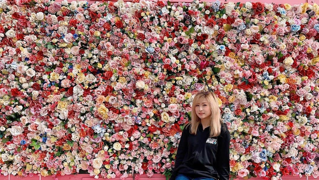 MIHO氏のインスタグラム：「かのやばら園❤️  鹿屋は薔薇のまちとも言われてるらしい🥺  まだ薔薇の季節でないらしいんだけど ハウスの中ではキレイに咲いてました❤️  #おっさんが本体のみほしだが #この日ばかりは女子 #きゃぴるん #らぶち」