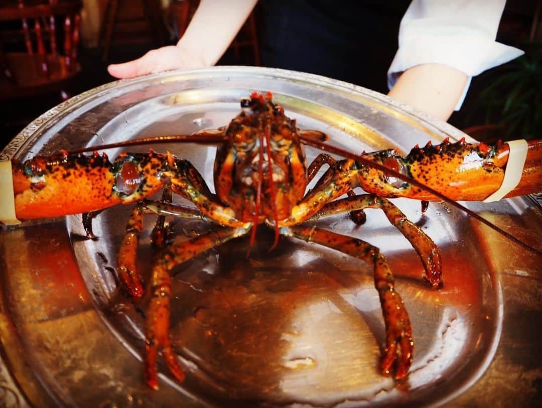 井出卓也さんのインスタグラム写真 - (井出卓也Instagram)「🦞✋  #lobster #boillobster  #ろぶすたーじゃんけん　#🦞」3月21日 18時05分 - takuyaide_official