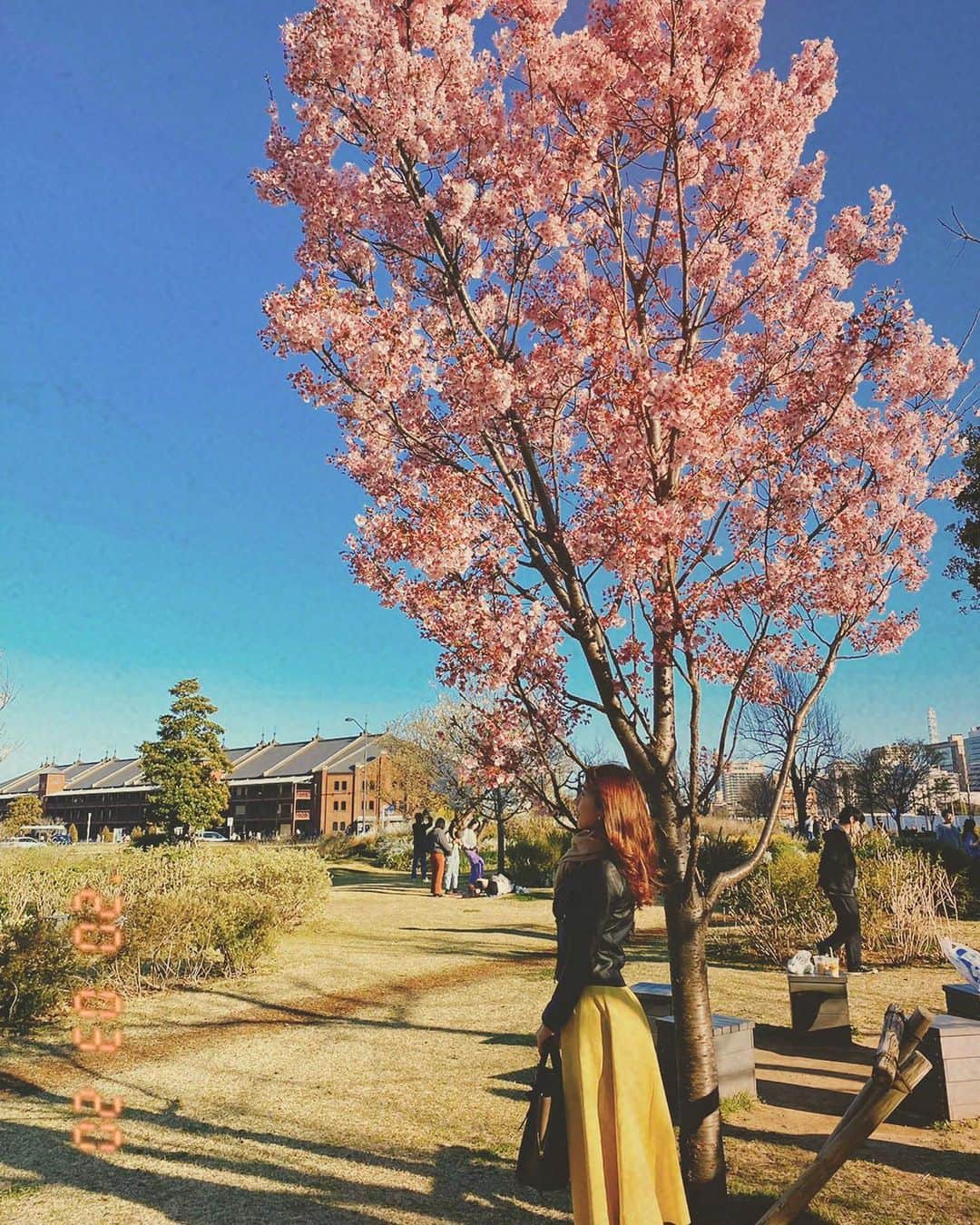 小野寺結衣さんのインスタグラム写真 - (小野寺結衣Instagram)「・﻿ ﻿ ﻿ ちょうど去年の今頃の週末。﻿ 桜がとーってもきれいでした🌸﻿ ﻿ 今日の雨風はものすごく強かったので﻿ 散ってしまいましたね😔寂しい。﻿ ﻿ ﻿ ﻿ 来年こそは、手作りのお弁当持って﻿ ワンタッチテントでお花見したいなー🏕⑅🍡﻿ そしてお腹いっぱいになったらテントの中で﻿ お昼寝するのが最高のしあわせ‥🥺♡﻿ ﻿ ﻿ ﻿ ﻿ ﻿ ﻿ #過去の思い出シリーズ #お花見 #桜﻿ #🌸 #🍱 #🍙 #🍡 #🍺 #🍩 #🇯🇵」3月21日 18時12分 - yui_onodera0831