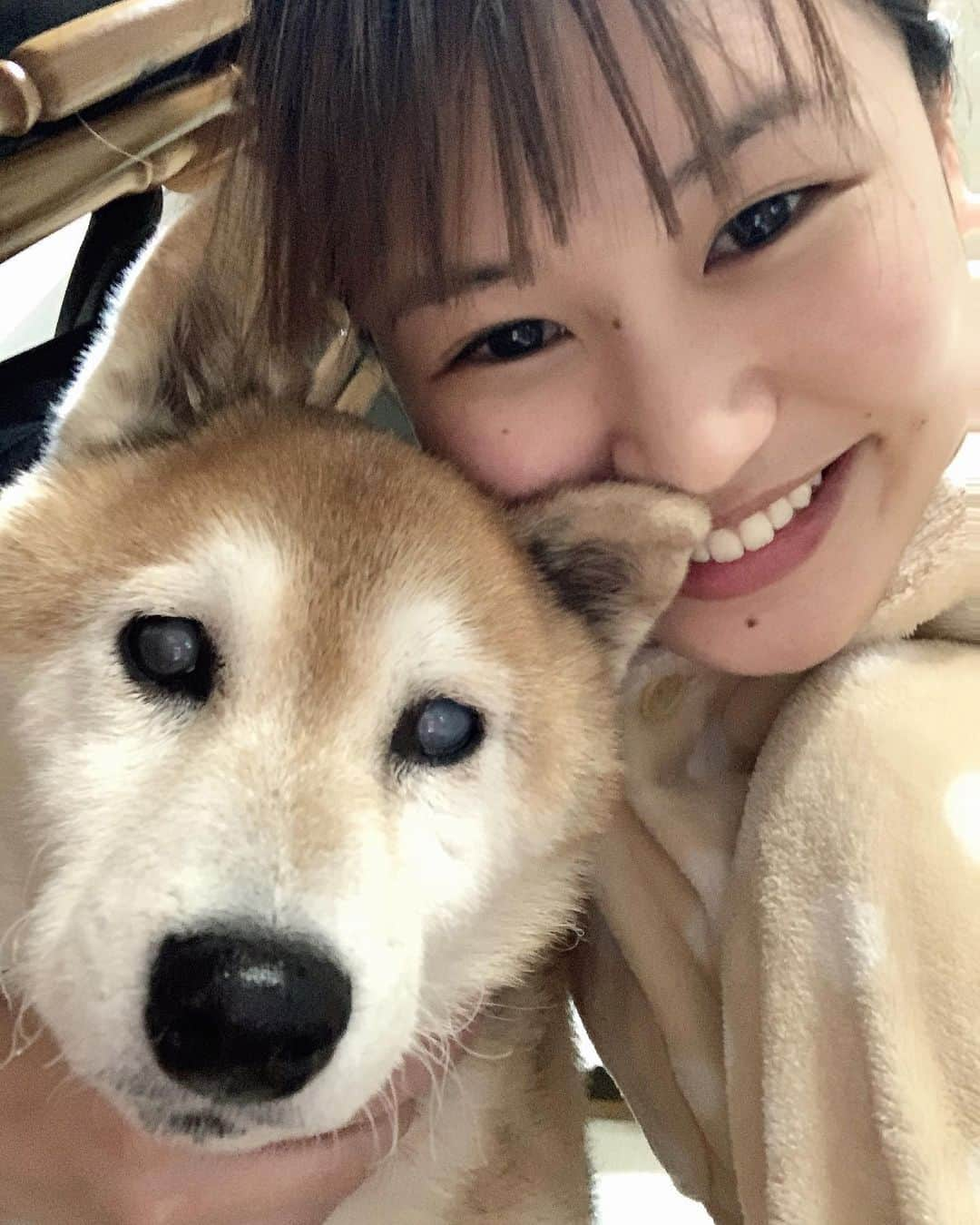 大関れいかさんのインスタグラム写真 - (大関れいかInstagram)「. いぬ〜🐶ガッツ〜すき〜 13キロもあった体重が9キロになってて 久しぶりに抱っこしたら軽くてびっくりした😭 でも抱っこすると首を私の肩に全乗せしてくるの かわいくて仕方ないし、 何年経っても1番かわいいわうちの犬。❤️ ずっと一緒にいたい！！ #柴犬」3月21日 20時19分 - _reikaoozeki