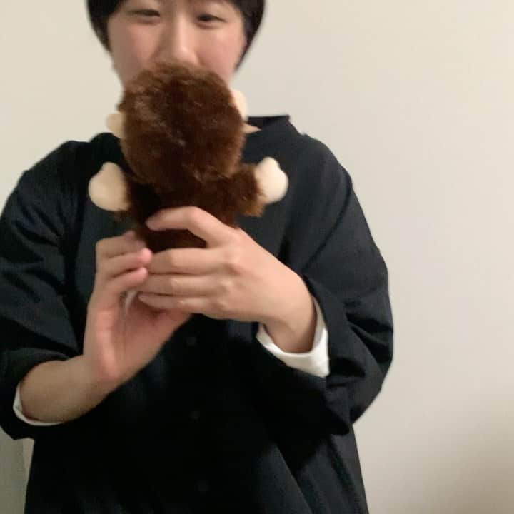 ヒコロヒーのインスタグラム：「#20210320 酔っぱらってる私たちはいつもこんなんで大笑いしている  #何がそんなおもろいんや #わしら死ぬほど笑ろてた #動画見返したら笑ってる意味がわからんすぎて笑らける #すごいって言うてるけど別にすごくもない #いつか新宿で飲んでた時笑いすぎて三丁目の道路で二人して動けんなったこともあった」