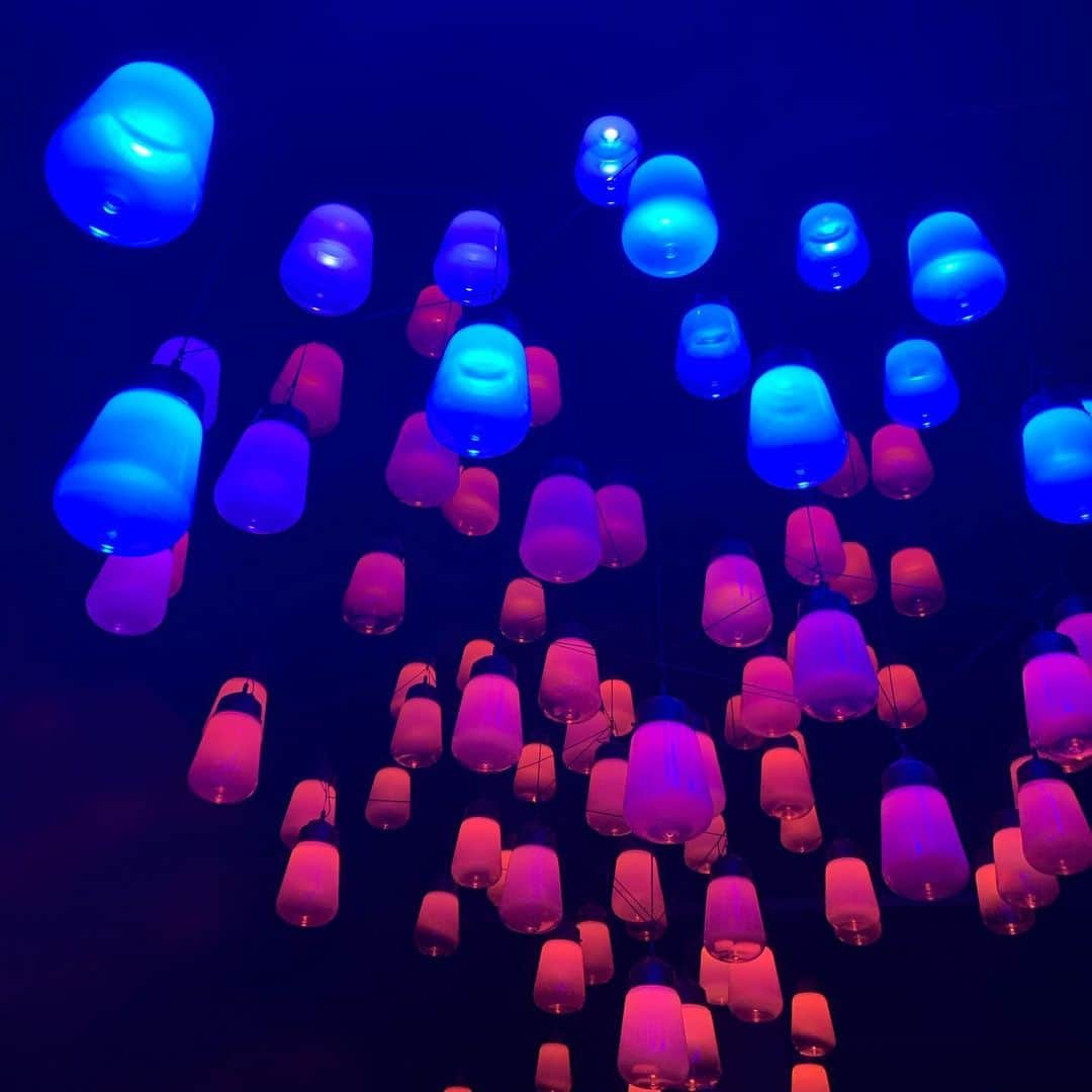 安田美沙子さんのインスタグラム写真 - (安田美沙子Instagram)「今日からの　@teamlab のサウナに行ってきました🤍 サウナ→ミスト→アートを繰り返して脳をリセット。 久々に汗を流して、アートに引き込まれて、翌朝から世界が少しだけ違うように見えた。 目からの刺激って大切だなと思う今日この頃。 またいっぱいいっぱいになったら癒されに行こう🤍🤍🤍 . . . #teamlab #sauna #チームラボサウナ  #チームラボリコネクト  #癒し　#art #beautiful  #reset #サウナ　#thanks」3月22日 10時35分 - yasuda_misako