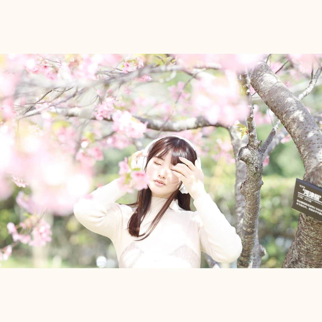 原つむぎさんのインスタグラム写真 - (原つむぎInstagram)「🌸  #毎日投稿 #1日1投稿 #80日目 #桜 #河津桜 #🌸 #ヘッドホン女子 #ヘッドホン #ポートレート #春 #春コーデ #お花見 #撮られたいわたしも #被写体 #被写体モデル #被写体になります #sakura #portrait #portraitmodel」3月22日 1時57分 - haratsumugi