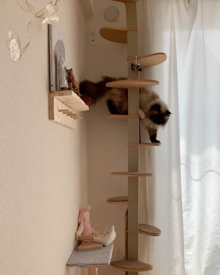 plumeのインスタグラム