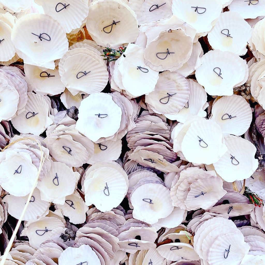森下千里さんのインスタグラム写真 - (森下千里Instagram)「石巻は、牡蠣の養殖が盛ん！  ホタテ貝に牡蠣の子供がくっついて育つそうです。ちょっと不思議です🧐  #牡蠣　#石巻　#石巻グルメ」3月22日 18時53分 - morishitachii
