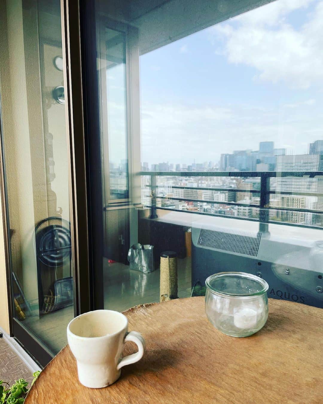 のインスタグラム：「春の嵐、去る。  コーヒーをベランダで呑みながら、ここ2週間の間に起こったイオと真舘アニー嘉浩の、細かな記録をスケジュールに残す。  哀しいことって、映像としては克明に残るのだけど、細かな日時とか、その場に誰がいたのかなんていうことは、意外と覚えていられないもの…っていうのは、先代ピキのお通夜の思い出話をゆみ姐 @yumipicon としていたとき、つくづく感じたから。  ピキ逝去時は、哀しすぎてその後数週間の記憶がほとんどない。火葬場の暗くて冷たい感じとか、公園に写真を持っていって、桜を見せたこととか、覚えているのはその程度。  「ピキのお通夜のときさ、エミちゃんが鶏の照り焼きとマッシュポテトを出してくれたのよ。それが美味しくってさ…」…とゆみ姐。…👀ひとつも覚えてない。そんな料理をする気力、どこに残ってたんだろう。  ピキが亡くなって、ピガ兄を貰い受けるまで、1年半も我が家には猫がいなかった。猫なしの生活なんて、今ではとても信じられないことだけど。  覚えていること。忘れないこと。  なにより大切な喪の仕事。愛ある弔いなんだろうな。  大切な存在がふたりも消えた世界を私は生きていく。ずっと忘れずに。心の中に住まわせて。  ときどきめちゃめちゃ泣いて、ふだんはちゃんと笑って生きていくのだ。  #猫沢イオ  #イオの扁平上皮ガン日記 #真舘嘉浩-waters/orgasmo  #猫沢ピキ #東京下町時間　#ピガ兄」