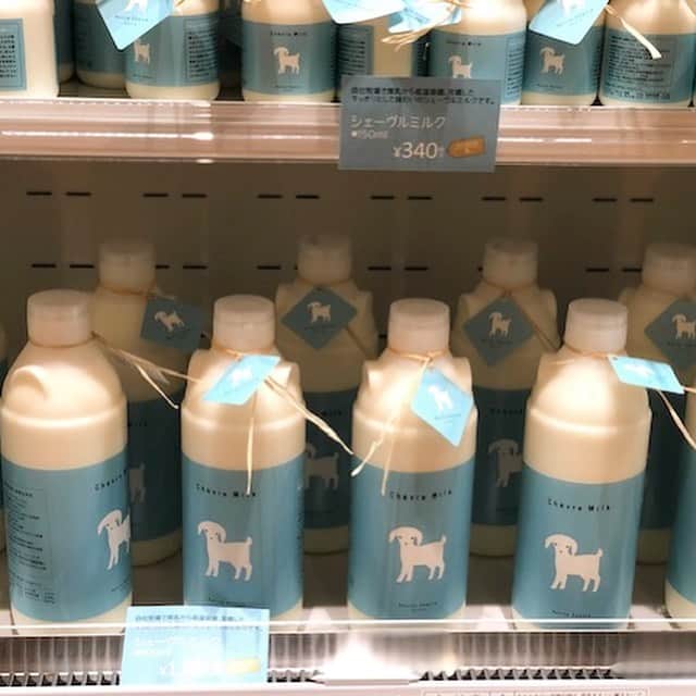 poroco（ポロコ）さんのインスタグラム写真 - (poroco（ポロコ）Instagram)「やぎミルク専門店「プティ・シェーヴル」 3月20日グランドオープン！✨  オーロラタウン小鳥の広場前にできた北海道・日高産のやぎミルク専門店。 ここに来たらまず味わってほしいオススメは、やぎミルクソフトクリーム380円（＋やぎのクッキー50円） なめらかな舌触りで、さっぱりとしたやぎミルクのソフトクリーム🍦 ぜひ、かわいいやぎクッキー付きで。  やぎミルクのチーズはもちろん、スイーツ、パン、「やぎグッズ」もご用意しています。  イートインできるドリンクも豊富で、 シェーヴルカフェオレ、コーヒーやホットティー、ハーブティー、シェーヴルココアなどもあって、ショッピングの合間のひと休みにもピッタリ。  詳しくはporoco4月号でもご紹介しています。  プティ・シェーヴル さっぽろ地下街オーロラタウン内 011-596-0673 10：00～20：00  #poroco #やぎミルク専門店 #プティシェーヴル #さっぽろ地下街 #オーロラタウン #札幌グルメ #札幌スイーツ #札幌カフェ  #北海道カフェ #札幌ソフトクリーム #やぎミルク #porocoスイーツ部 #sapporo #hokkaido」3月22日 12時11分 - poroco_magazine