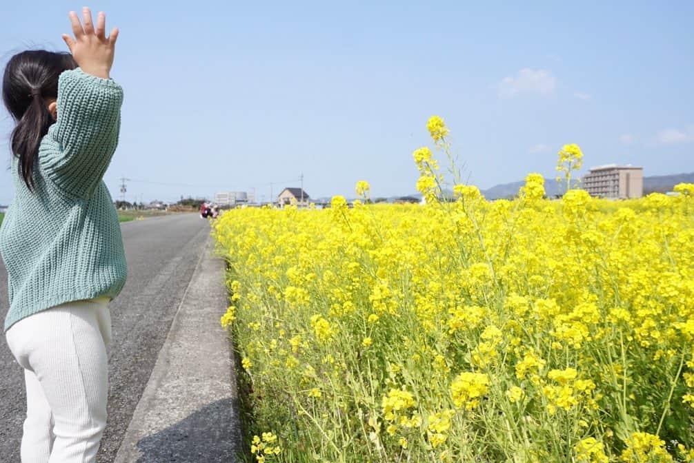 櫻本茉朋さんのインスタグラム写真 - (櫻本茉朋Instagram)「今年も見奈良の菜の花は綺麗でした✨  #春ですねぇ #菜の花 #見奈良」3月22日 12時26分 - mahou_sakuramoto