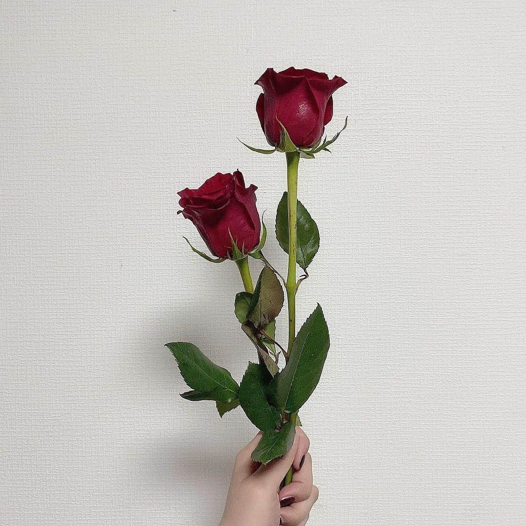 仙石翼のインスタグラム：「薔薇っていいね🥀」