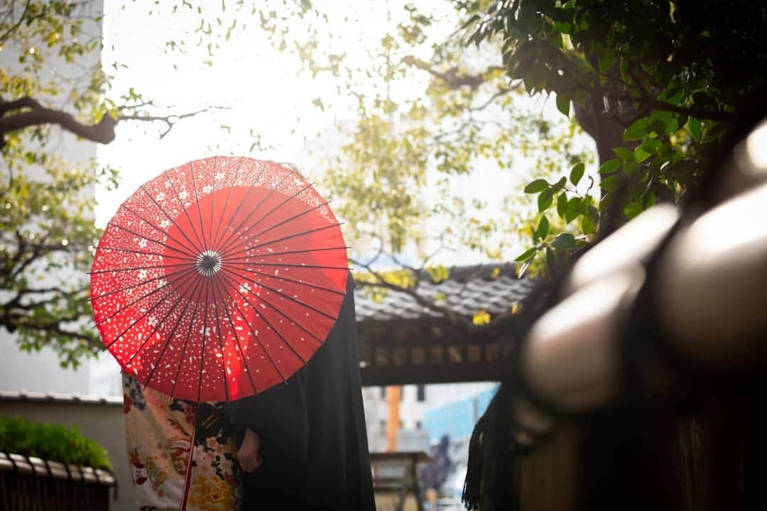 ホテルモントレ銀座 ブライダルサロンのインスタグラム：「🌈Happy　前撮りキャンペーン🌈  少しずつ暖かくなり、 春の気候になって参りました。  ホテルモントレ銀座では 前撮り、フォト婚撮影日が 8月末までのお客様をご対象に、 キャンペーンを行っております♪  東京駅前（行幸通り）や、 丸の内ロケーション、 ホテル館内、外観で パリを思わせる風景をバックに 素敵な思い出を残しましょう。 気持ち良い気候の中、 お楽しみ頂けると幸いでございます。 ぜひ、この機会にご検討ください。  ↓↓↓キャンペーン詳細はこちら↓↓↓  🌸特　典　1🌸 　写真カット数増量！（平日・土日共通） 　・和・洋ロケーション20カット　→　 　　　　　　　　　　100カットへ増量 　・館内ロケーション10カット　→　 　　　　　　　　　　40カットへ増量　 　　　　　　外観追加撮影（11,000円）付き  さらに嬉しい！ 🌸特　典　2🌸 　・平日限定　2カメ（プロカメラマン2名体制）　　　　　　　　　　　　　　　　　　 　　　　　　　撮影オプション付き 　・土日限定　土日撮影・美容追加料金不要 ※庭園和装ロケーションは平日のみとさせて頂いております。  前撮りプランの詳細につきましては、 ホテルモントレ銀座ブライダルサロンまで お気軽にお問合せ下さいませ。 #キャンペーン #丸の内前撮り #モントレ花嫁 #ホテルモントレ銀座 #モントレ #dressy花嫁 #marry花嫁 #プレ花嫁 #全国の花嫁さんと繋がりたい #weddingdress #wedding #ホテルウエディング #ホテル婚 #式場探し #2021春婚 #2021夏婚 #2021秋婚 #花嫁ヘア #卒花嫁 #ブーケ #プラコレ #ハナコレ #写真好きな人と繋がりたい #和装 #紋付 #色打掛 #結婚準備 #洋装前撮り #フォトウェディング #ムービー企画」