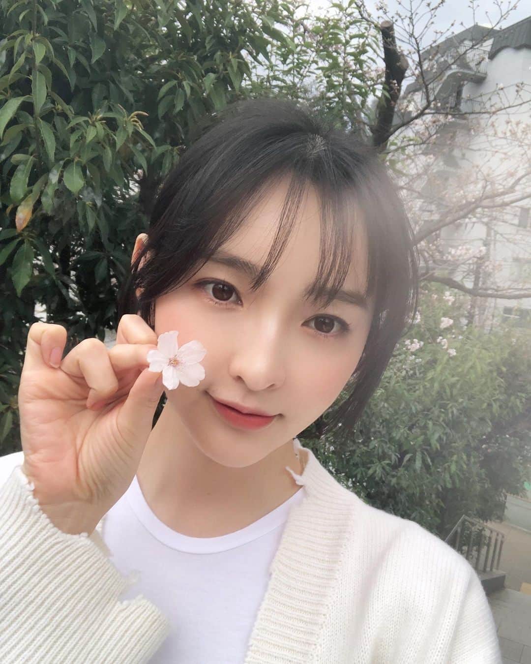 のインスタグラム：「🌸🌸🌸 あったかくなってお散歩日和 #春の散歩　#봄이다🌸」
