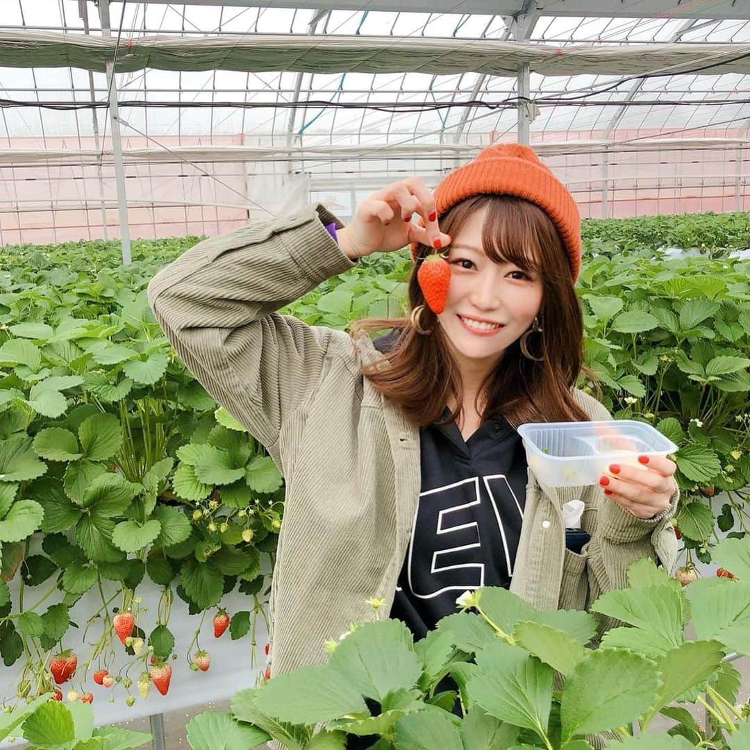 栗原里奈さんのインスタグラム写真 - (栗原里奈Instagram)「先日お友達といちご狩りしました💓🚗 そのあとは木更津アウトレットに🛍 みんなで爆買い予想をたてていましたが、、物欲に対する自制心なのか。歳なのか。中々財布をあけるまでに至らず。 最後は何か買わなければの使命感でやっとのこと買い物しました👟🤣  #いちご狩り #木更津 #ドライブ #女子旅」3月22日 14時37分 - rina__kurihara
