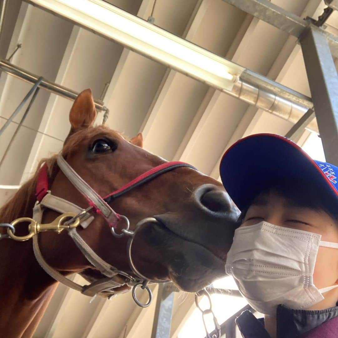 古川奈穂さんのインスタグラム写真 - (古川奈穂Instagram)「3/20.21 沢山のレースに騎乗させて頂きました。関係者の皆様と馬達に感謝です。 3/21にタケルラスティ号で2勝目をあげさせて頂きました！ 今後とも応援宜しくお願い致します！ #タケルラスティ #テヘペロラスティ #セルフ口取り写真」3月22日 15時19分 - naho_furukawa_official