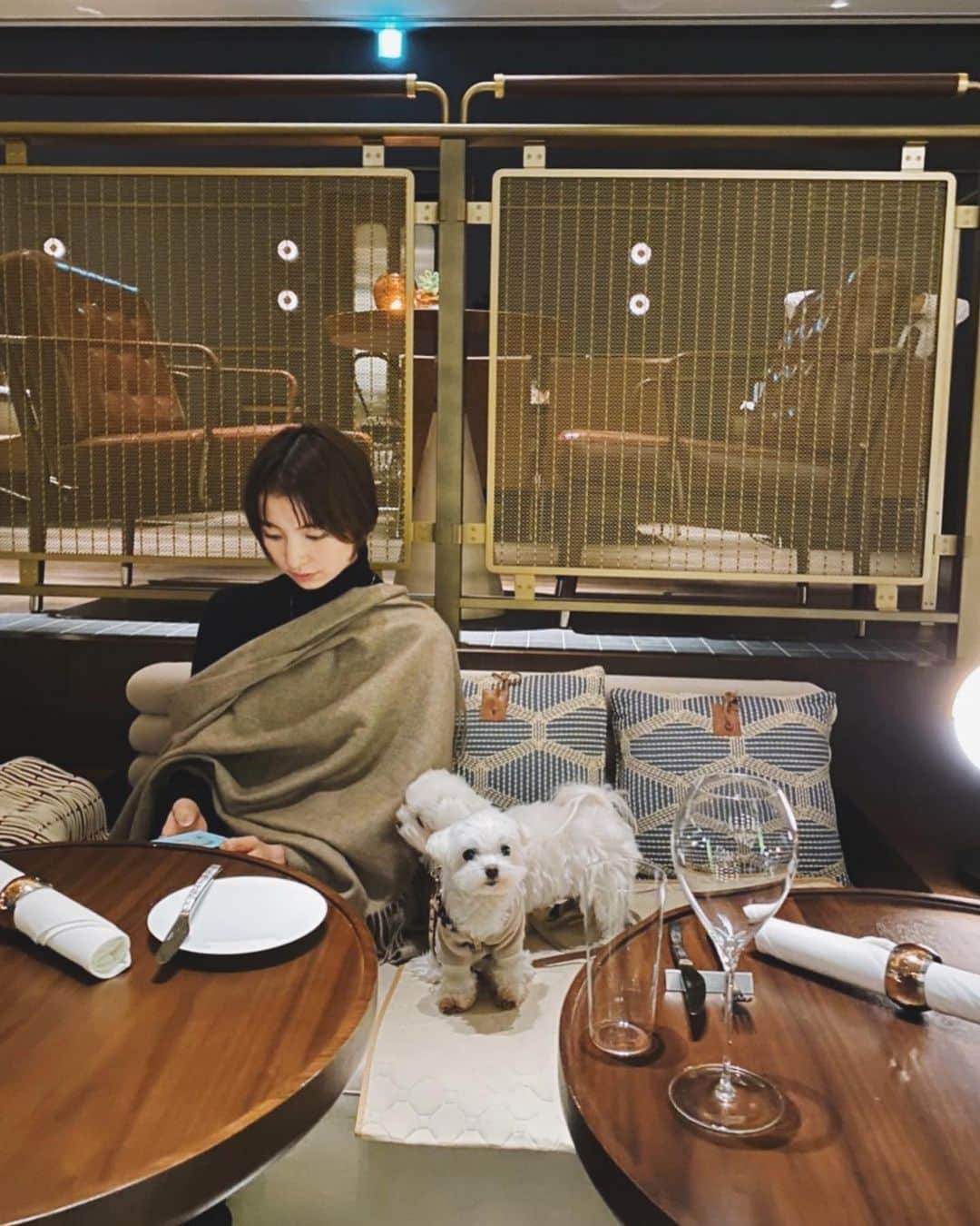 篠田麻里子さんのインスタグラム写真 - (篠田麻里子Instagram)「旅行って計画してる時が1番ワクワク😍👌 旅ログとか撮りたいな🙄🤟🏻ワンオペのw  #いぬすたぐらむ#マルチーズ」3月22日 17時14分 - shinodamariko3