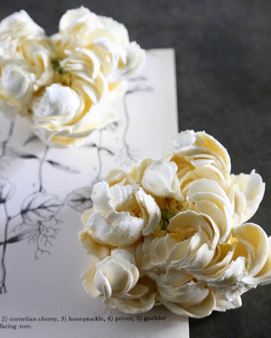 청담 수케이크 (atelier soo)のインスタグラム：「ㅡ Soocake peony collection 🤍 Buttercream flower  ㅡ #flower #cake #flowercake #partycake #birthday #bouquet #buttercream #baking #wilton #weddingcake #peony ㅡ www.soocake.com」