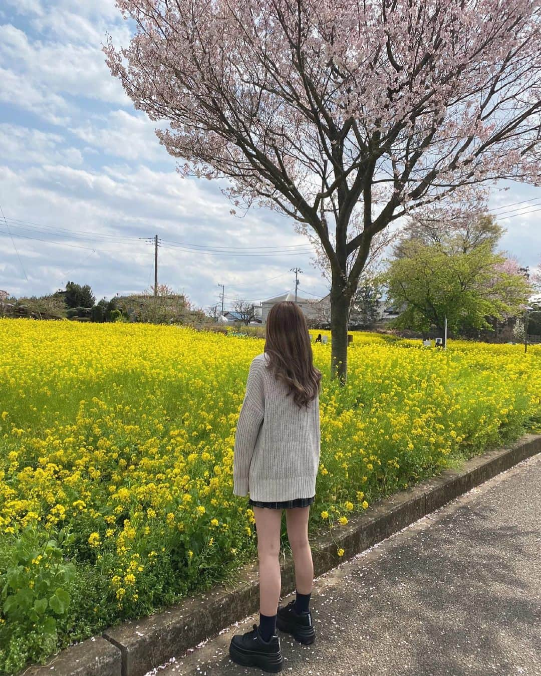 権隨玲さんのインスタグラム写真 - (権隨玲Instagram)「. まえ〜に制服きて菜の花畑に🌻🌻 制服もタグ付けてます🏷♡」3月22日 20時25分 - rea__room