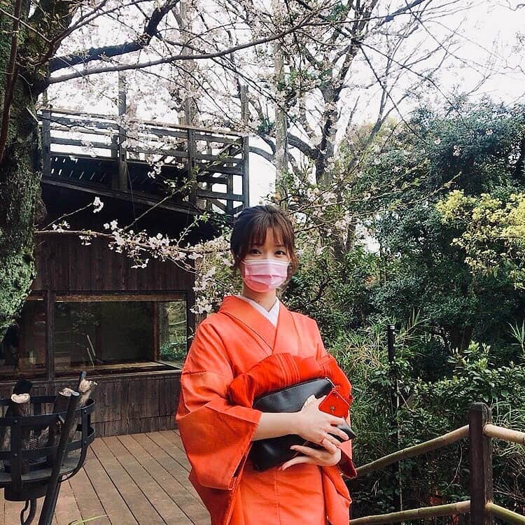 恒吉梨絵さんのインスタグラム写真 - (恒吉梨絵Instagram)「今日は姉に着付けてもらい上野まで行って来ました。  何度か訪れている韻松亭でこの季節の御前をいただきました🌸 とてもボリュームがあり、更に日本酒まで頼んでしまいました🍶✨ 座席からは桜が見えて、楽しく贅沢な時間を過ごしました！！  今回は名古屋帯のお太鼓結びでした👘  #上野公園#韻松亭#着物#kimono#桜」3月22日 21時26分 - rietsuneyoshi1