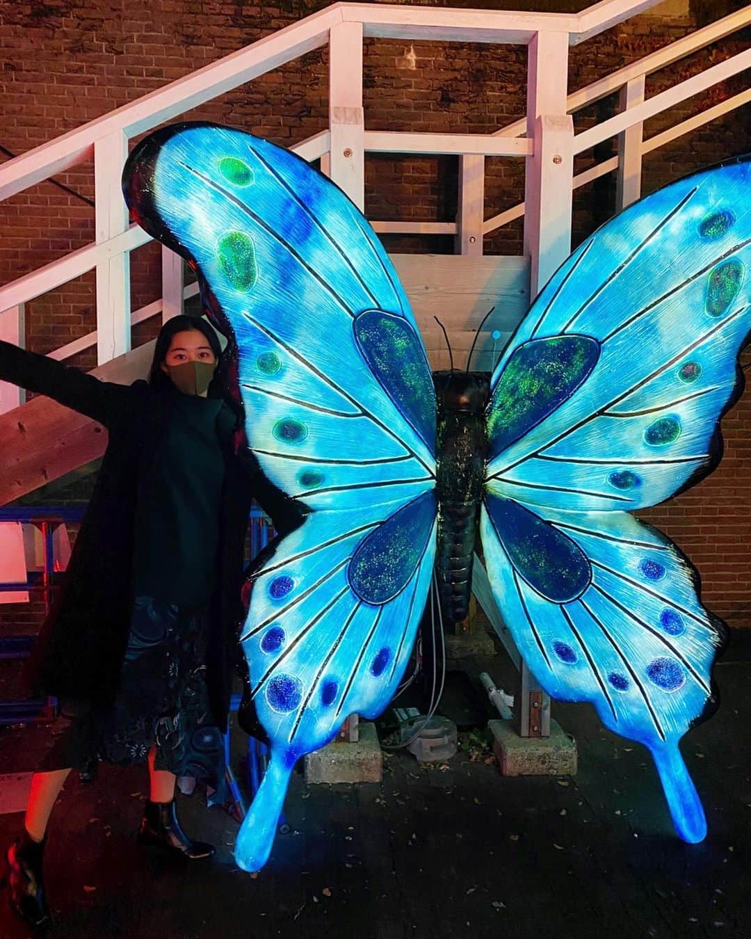 西山なずなのインスタグラム：「🦋🦋🦋」