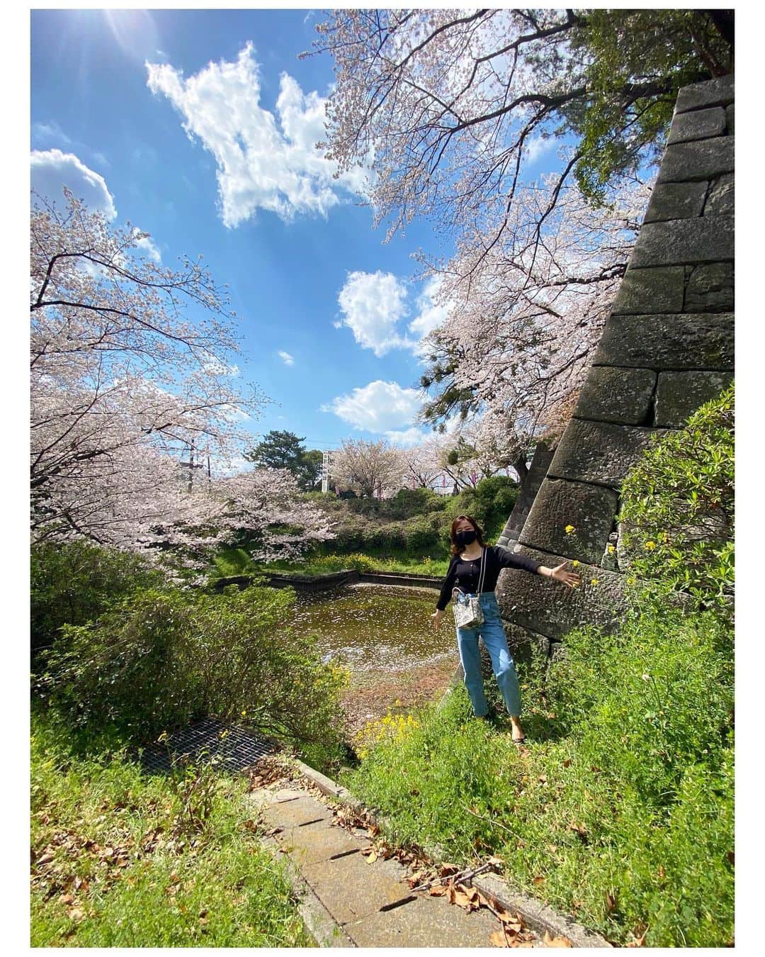 吉竹史さんのインスタグラム写真 - (吉竹史Instagram)「仰ぎ見るようなものを撮る時は、カメラのパノラマ機能を横向きにして使うと、迫力ある写真が撮れてオススメだよ☺️✌️←これ最近の私の大発見なのだ  #桜 #写真の撮り方　#パノラマ撮影」3月22日 22時27分 - fumi_yoshitake