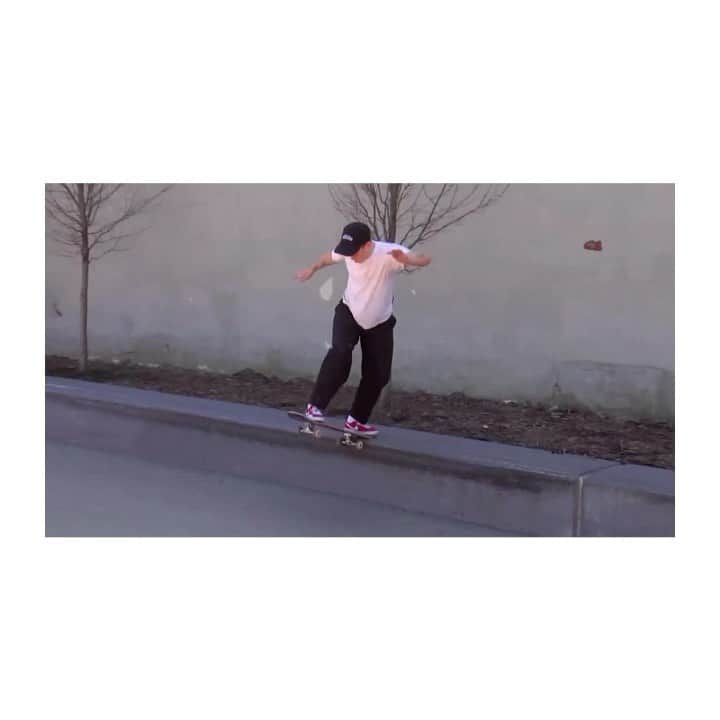 のインスタグラム：「LeoBackTailExtravaganza.mp4 filmed by @davidxmitchell」