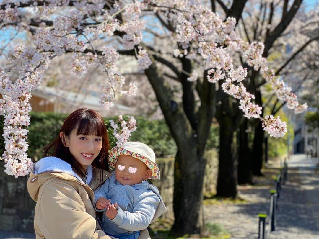 中西麻里衣さんのインスタグラム写真 - (中西麻里衣Instagram)「近所をお散歩しながら🌸を見に行ってきました。 ほぼ満開でとっても綺麗♡ 娘は1歳半になりました❗️『ママきて』『パパできたよー』などさらにおしゃべりが達者になり✨ お寺の入り口にいた仁王像をみてからは『オニいた』と言うように😂 すぐ高音絶叫するのだけは、早く落ち着かないかなと思ってますが💦 とっても元気に成長してくれています🍀 そして家族の影響でポケモンの名前を覚え出し、口ずさむ曲はbtsのダイナマイトな娘です🥺 #お散歩#🌸#桜#満開#ご近所#お花見したいなあ#娘#末っ子長女#高音絶叫#声が大きい#溺愛#かわいくてたまらない#1歳半」3月23日 13時01分 - 87marii