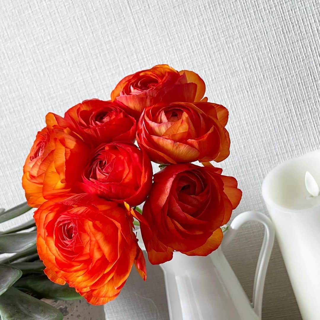 吉田美紀さんのインスタグラム写真 - (吉田美紀Instagram)「・ ・ Good morning🧡🧡🧡 今週はこんなカラーの気分･:*+. ・ #flowers #ranunculus #orange #gm #お花 #ラナンキュラス #お花のある暮らし」3月23日 8時44分 - miki__yoshida