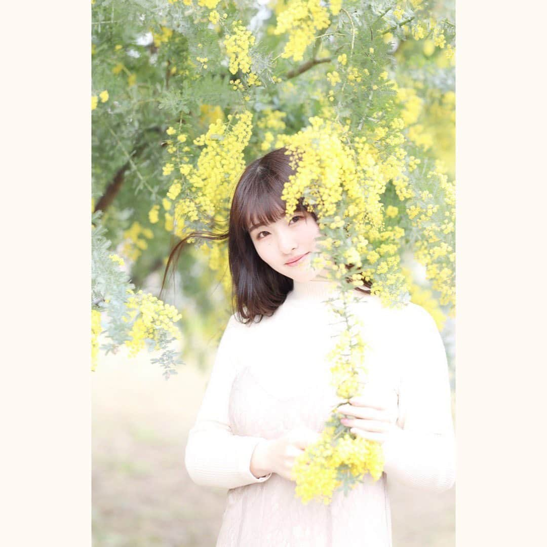 原つむぎさんのインスタグラム写真 - (原つむぎInstagram)「🌼  #毎日投稿 #1日1投稿 #82日目 #ミモザ #mimosa #mimosaflower #🌼 #ポートレート #春 #春コーデ #お花見 #撮られたいわたしも #被写体 #被写体モデル #被写体になります #spring #springfashion #portrait #portraitmodel」3月23日 9時06分 - haratsumugi