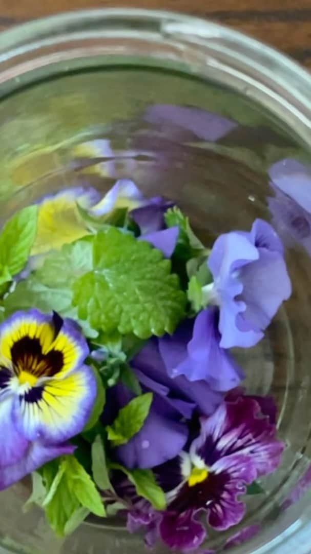 ティファニー・キャデラックのインスタグラム：「🦋 This tea includes peppermint, lemon balm and pansies.  Pansies are not just for “aesthetics”. It’s actually a great source for antioxidants, anti-inflammatory, and anti-microbial benefits. Supports skin, gut, respiratory system etc...  Also the etymology of pansy is derived from the French word “pensée” meaning “thought”. I feel that it’s great for clairvoyance - third eye chakra and crown chakra✨  Flowers offers us love and healing. Add a little to your tea, salads or whatever you desire🥗 Allow it to bring you joy and happiness into your life. Let yourself bloom like one🌼💕  Music: Dreamflower - Tarika Blue  #FlowerTherapy #FlowerHealing #BloomLikeAFlower #MandalaTherapy #FlowerPower #FlowersAreForever #HerbalTherapy #Herbalist #HerbalTea #Herbalism #HerbIsTheHealingOfTheNation」