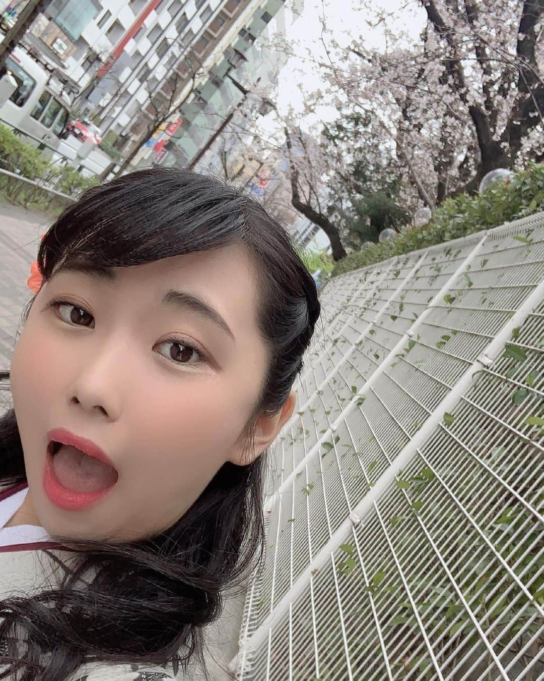 南ゆうきのインスタグラム：「こんなお顔もするよ！！！ . . . . #instabeauty #beautiful #japanesegirl #kimonostyle #kawaii #kawaiigirl #sakura  #アイドル #現役女子大生 #女子大生 #卒業式 #卒業 #2021春婚 #着物 #袴 #和服美人 #袴姿 #学生アイドル #おしまい #グラドル #現役女子大生グラドル #グラビアの人 #桜 #咲きました」