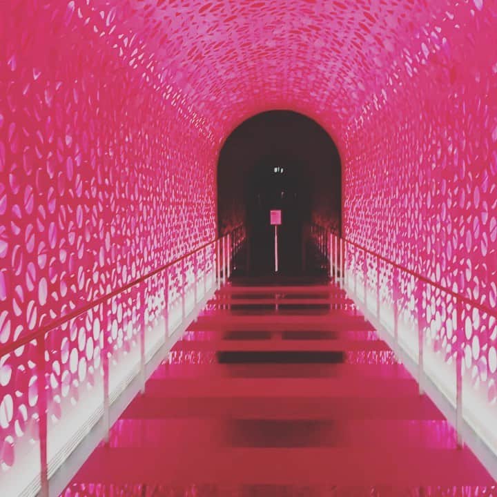 のインスタグラム：「予備知識も、事前情報もなく… 足を踏み入れた 「W HOTEL」 (ダブル　ホテル)  多様性や日本🇯🇵 特に「OSAKA」 がテーマ😆⤴️  とにかく「面白い」🤣  そっか！ 「W」＝「笑」 って意味かな？！  ニューノーマル時代だからこそ、「定番」ではない新しい価値観に触れて  楽しめるか？ 楽しめないか？  新しい自分の感性を 面白がってみる。  ロビーのパチンコ玉をイメージした 不思議な空間にいる私⤴️👍🏼🤣  #whotelosaka  #君島十和子#ftcbeauty #seventenbymihokawahito #旅行に最適なセットアップ#シワになりにくい#コーディネイトしやすい」