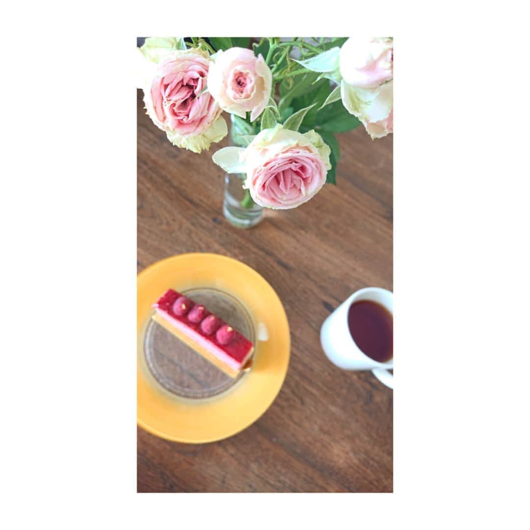 加藤沙知さんのインスタグラム写真 - (加藤沙知Instagram)「花よりケーキ  花も好きですが… やっぱりケーキも好き♥️笑  今週の花は、うっすらピンクの小さなバラです♪  #花#flower#バラ#rose #ケーキ#cake」3月23日 22時31分 - mrt.kato