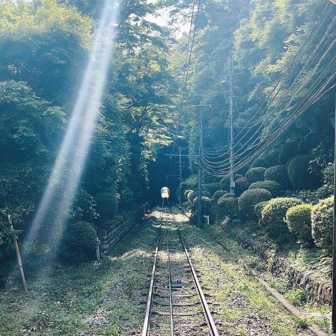 櫻美雪（旧さくらみゆき）さんのインスタグラム写真 - (櫻美雪（旧さくらみゆき）Instagram)「高尾山薬王院⛰  #過去pic #av #av女優 #jav #sexy #porn #japanese #japanesegirl #japaneseporn #photo #photography  #セクシー女優　#섹시 #性感的 #팔로우환영　#셀카 #高尾山 #高尾山薬王院 #薬王院 #寺院 #お寺　#天狗」3月23日 22時44分 - sakura12miyuki