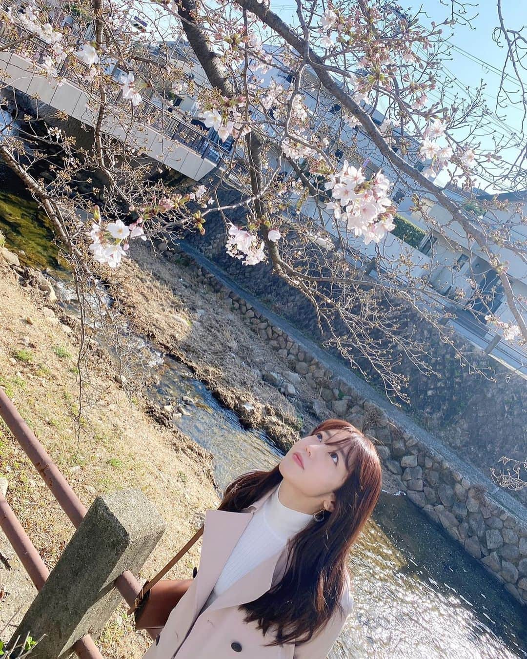 峯岸みなみさんのインスタグラム写真 - (峯岸みなみInstagram)「いいお天気の中、ロケ🌸 桜をゆっくり見たのが久しぶりで思わずマスクを取って記念撮影。春ですね。」3月23日 22時44分 - minegishi_31chan