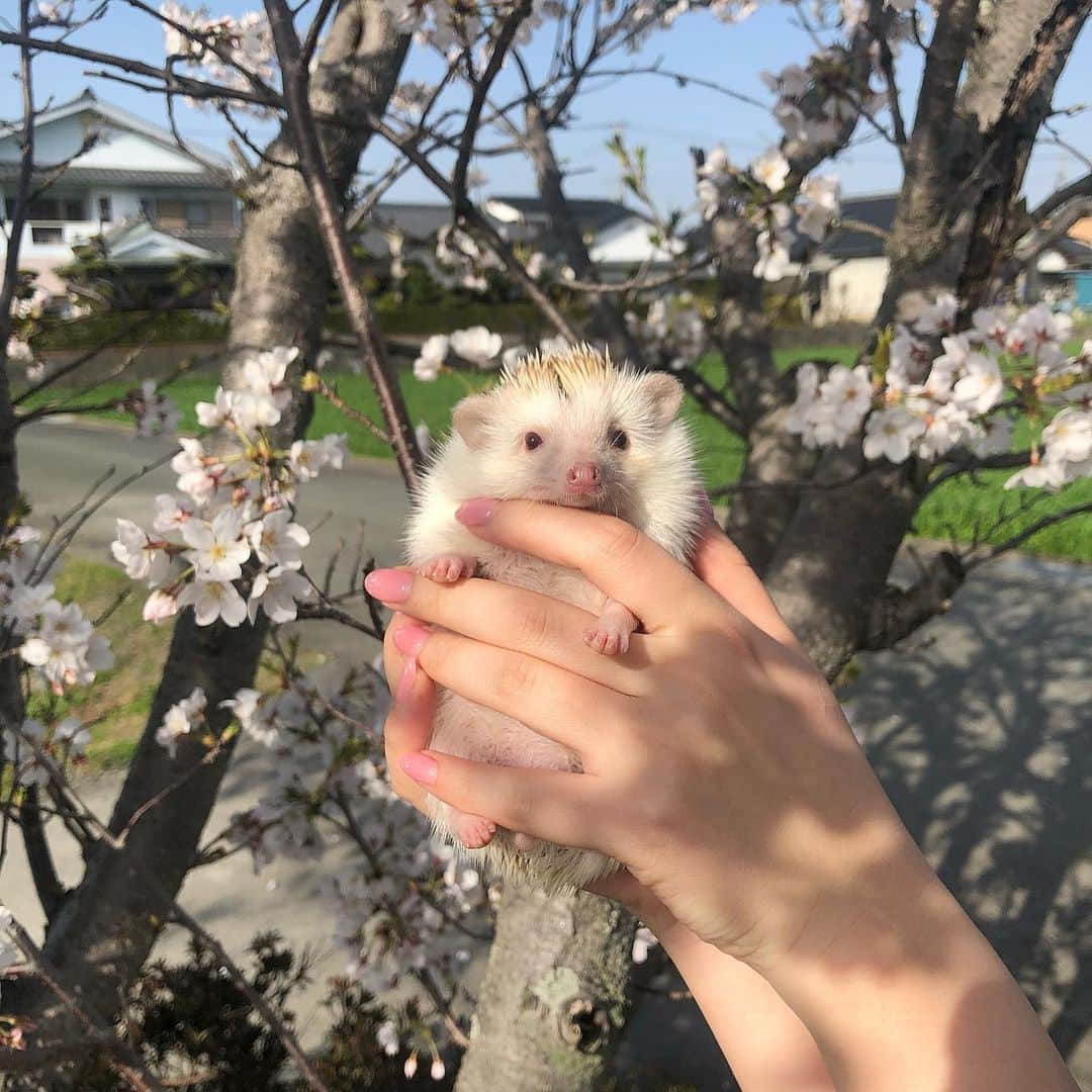 横山紗弓のインスタグラム