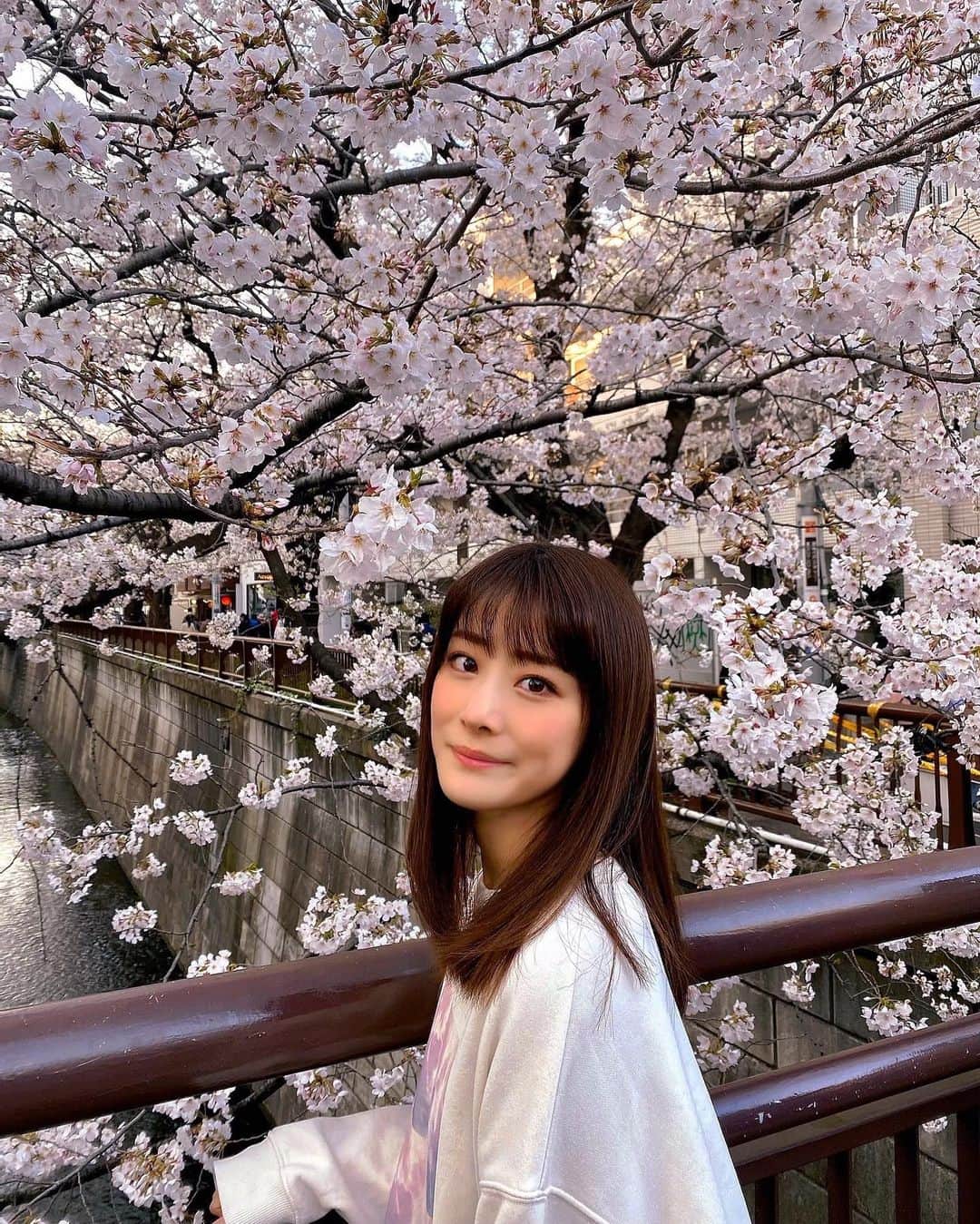 福岡みなみさんのインスタグラム写真 - (福岡みなみInstagram)「お花の中で桜が1番好き🌸  #桜」3月23日 18時39分 - fukuokaminami373