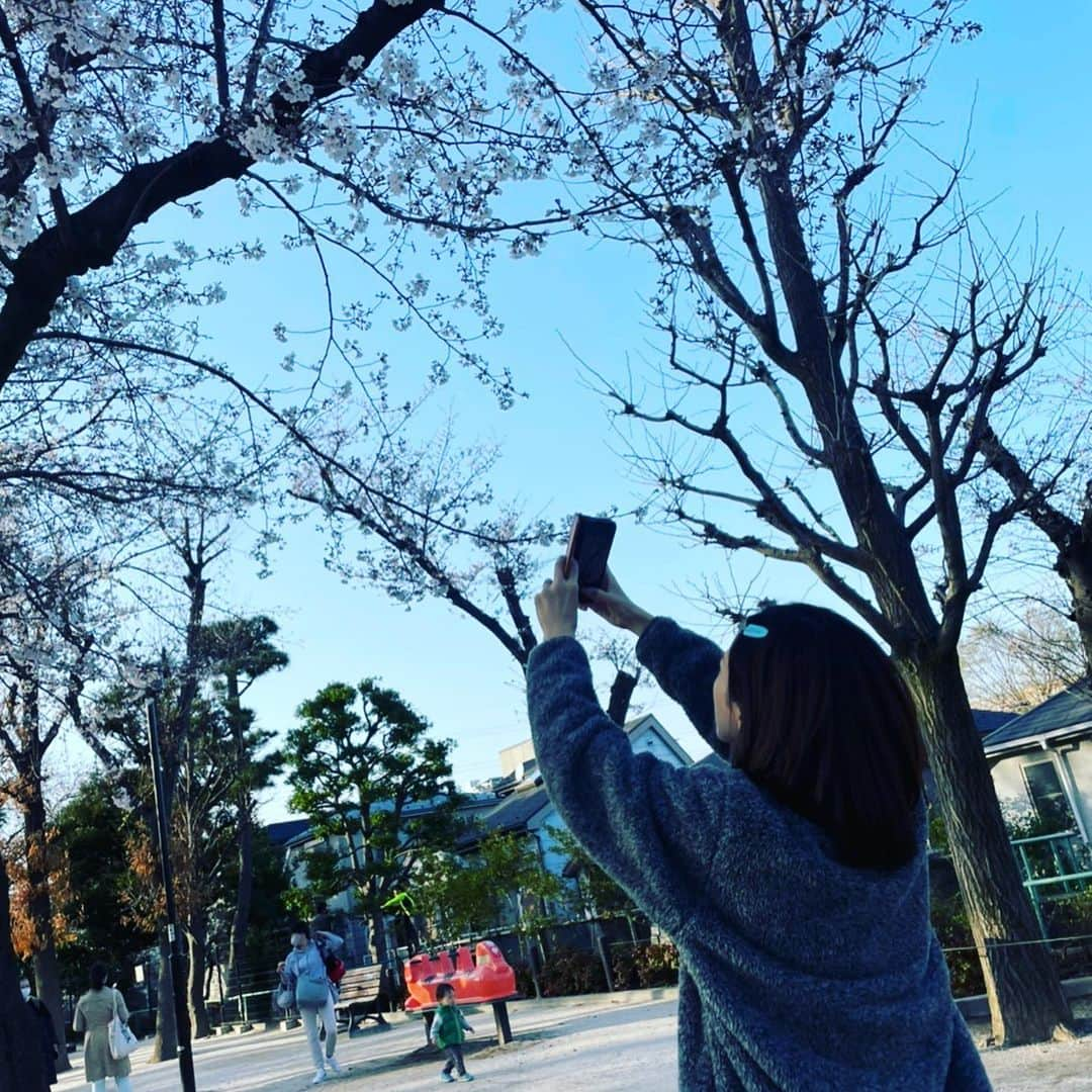 桜井ユキさんのインスタグラム写真 - (桜井ユキInstagram)「皆様こんにちは。  桜がだいぶ咲いてきてますね。  今日は一日外で撮影しております。 昼間にチャーハンを食べてそのあと全力疾走をしたので、お腹がウップウップなってます。  ウップウップ言いながら後半も頑張ります。  ウップウップ  　　　　　　　　　　 　　　　　　　　　　　　　　　　　　桜井🌸」3月23日 18時42分 - yuki.sakurai_official