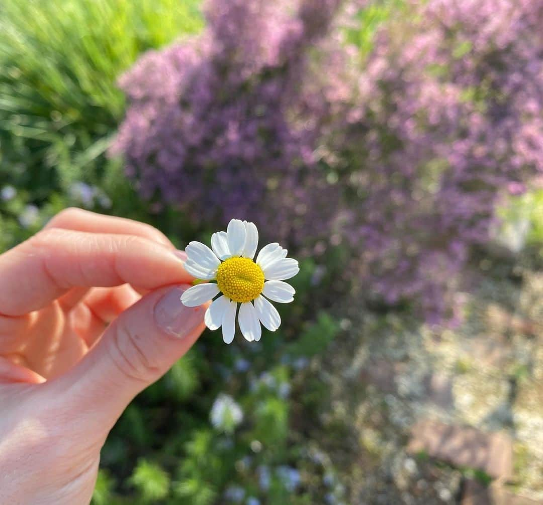 黒坂優香子さんのインスタグラム写真 - (黒坂優香子Instagram)「🌼」3月23日 19時48分 - yukakokurosaka0606