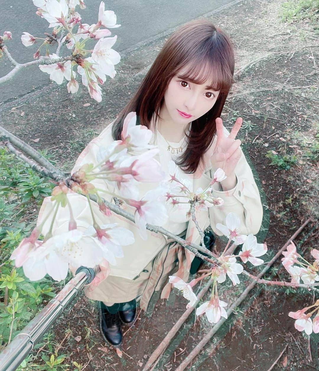 かなちゃさんのインスタグラム写真 - (かなちゃInstagram)「桜🌸✨✨✨」3月23日 20時51分 - muunmu