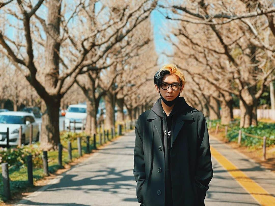 Hikaru（ヒカル）さんのインスタグラム写真 - (Hikaru（ヒカル）Instagram)「いちょうなみきの下で…」3月23日 20時50分 - tadanokarisuma