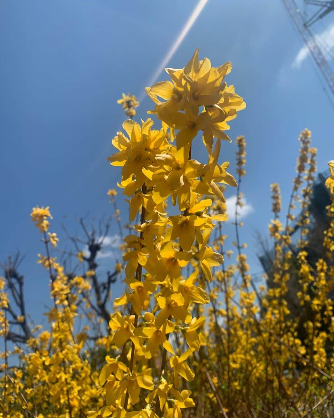 春日萌花のインスタグラム