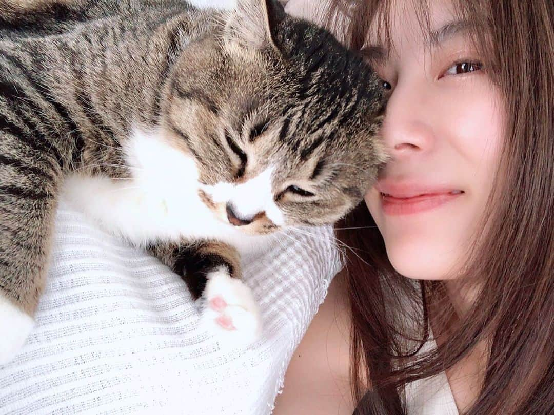 ゆりあさんのインスタグラム写真 - (ゆりあInstagram)「お仕事行ってくるよー！ 今日はるんるん。 いろんな意味で楽しみすぎる💓  . . #猫 #猫のいる暮らし #猫のいる生活 #にゃんすたぐらむ #ねこすたぐらむ #ねこ #ぬこ様 #仲良し #ツーショット #ペット #愛猫 #愛猫家  #猫好き #猫好きさんと繋がりたい #癒し #動物 #キジシロ #雑種 #雑種猫 #保護猫 #モデル #撮影 #お仕事 #cat #catstagram #ゆりあんぬ毎日投稿」3月24日 7時55分 - yuria___u