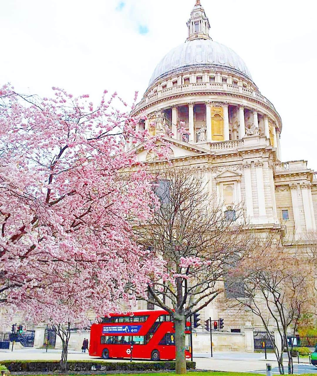 渡辺枝里子さんのインスタグラム写真 - (渡辺枝里子Instagram)「【セントポール大聖堂の春🇬🇧】  📍 St Paul's Cathedral  セントポール大聖堂と桜。  異国情緒溢れる建造物とのコントラストがなんだか不思議。  でも、すごく好き😌  いい季節になりましたね☺️ * * * * * #london #uk #stpaulscathedral #cherryblossom #spring #londonphotography #photography #londonlife #londondiaries  #ロンドン　#イギリス　#セントポール大聖堂 #桜　#春　#ロンドン日記　#海外生活　#ロンドンライフ　#渡辺枝里子」3月24日 4時15分 - eriko_watanabe_21