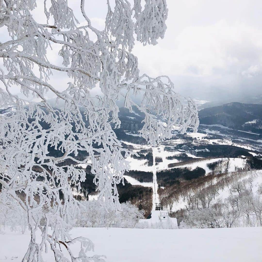 星野リゾート　トマムのインスタグラム：「山頂付近では、まだまだ霧氷が発生する日が多く、幻想的な冬景色が広がっています❄️残り少ない冬をお楽しみください。  #HoshinoResorts #星野リゾート #tomamu #hoshinoresortstomamu #星野リゾートトマム #トマム #risonaretomamu #リゾナーレトマム #risonare #リゾナーレ #北海道旅行 #星野集團 #Hokkaidotrip」